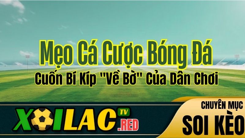 Mẹo Cá Cược Bóng Đá Luôn Thắng - Cuốn Bí Kíp "Về Bờ" Của Dân Chơi Xoilac TV