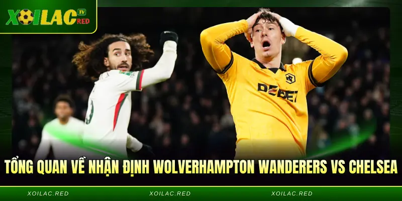 Tổng quan về Nhận định Wolverhampton Wanderers vs Chelsea